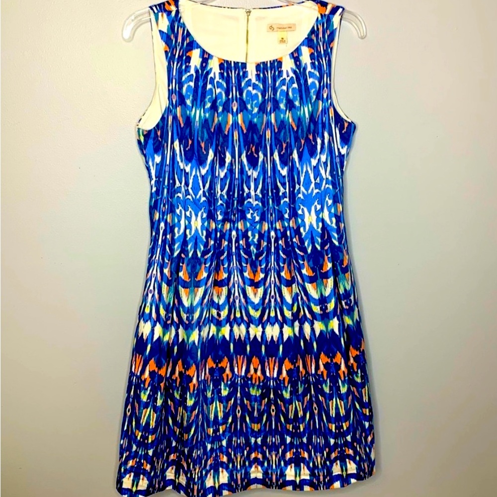 $15 - CB ESTABLISHED A-LINE DRESS